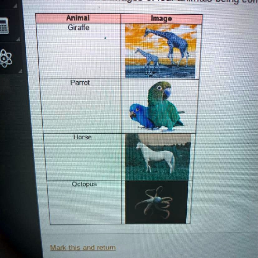 Table Comparing Animals SOLVED: 'The table shows images of four animals being compared Which ...