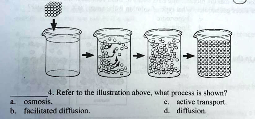 SOLVED: '4. Refer To The Illustration Above, What Process Is Shown? A ...