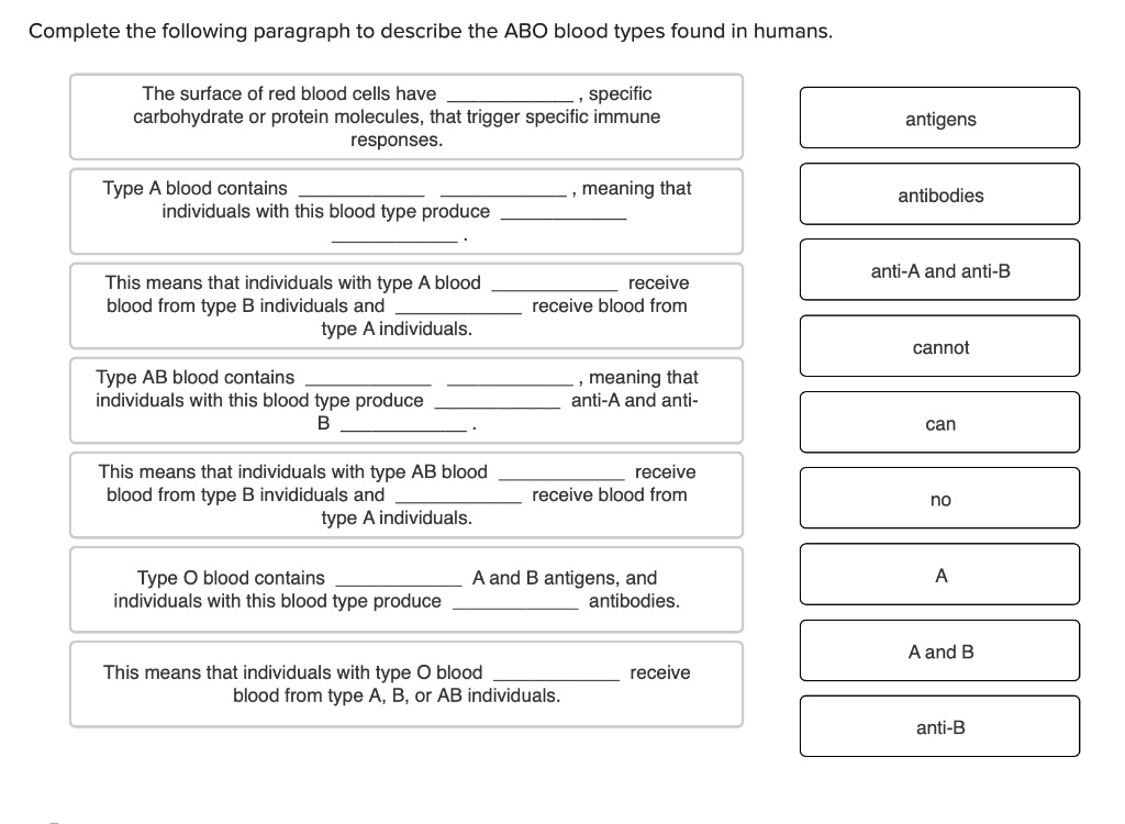 Complete the following paragraph to describe the ABO blood types found in humans. The surface of red blood cells have  , specific carbohydrate or protein molecules, that trigger specific immune responses. Type A blood contains   , meaning that individuals with this blood type produce   . This means that individuals with type A blood  receive blood from type B individuals and  receive blood from type A individuals. Type AB blood contains   , meaning that individuals with this blood type produce  anti-A and anti-B  . This means that individuals with type AB blood  receive blood from type B invididuals and  receive blood from type A individuals. Type O blood contains  A and B antigens, and individuals with this blood type produce  antibodies. This means that individuals with type O blood  receive blood from type A, B, or AB individuals. antigens antibodies anti-A and anti-B cannot can no A A and B anti-B