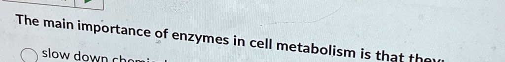 The main importance of enzymes in cell metabolism is that they