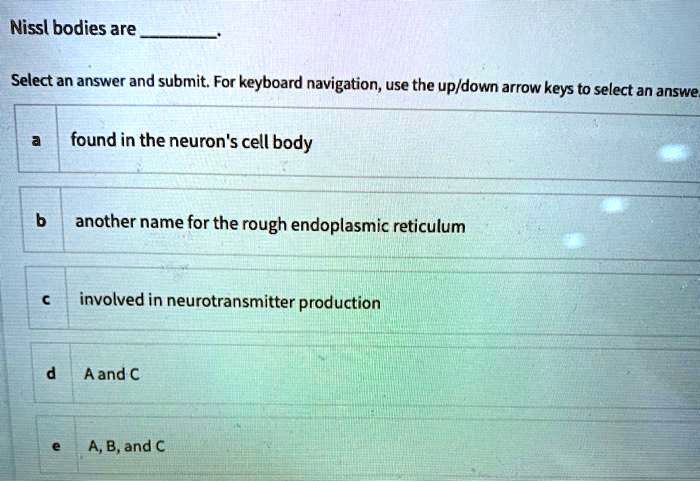 Nissl bodies are .
Select an answer and submit. For keyboard navigation, use the up/down arrow keys to select an answe
a found in the neuron's cell body
b another name for the rough endoplasmic reticulum
c involved in neurotransmitter production
d A and C
e A, B, and C