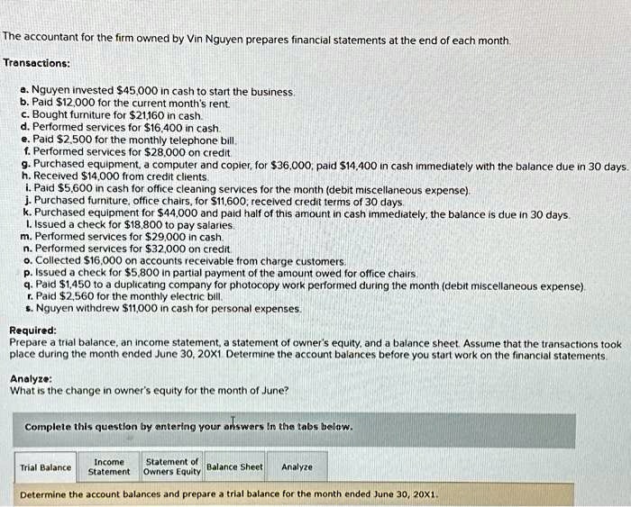 the accountant for the firm owned by vin nguyen prepares financial ...