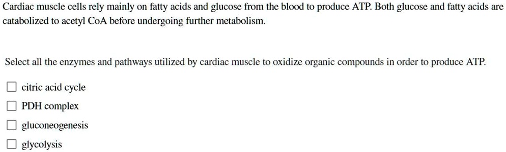 Cardiac muscle cells rely mainly on fatty acids and glucose from the blood to produce ATP. Both glucose and fatty acids are catabolized to acetyl CoA before undergoing further metabolism.

Select all the enzymes and pathways utilized by cardiac muscle to oxidize organic compounds in order to produce ATP.

citric acid cycle
PDH complex
gluconeogenesis
glycolysis