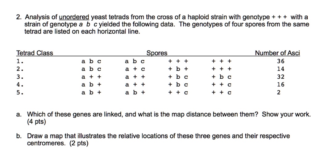 2. Analysis of unordered yeast tetrads from the cross of a haploid strain with genotype + + + with a strain of genotype a b c yielded the following data. The genotypes of four spores from the same tetrad are listed on each horizontal line.

Tetrad Class Spores Number of Asci
1. a b c a b c + + + + + + 36
2. a b c a + c + b + + + + 14
3. a + + a + + + b c + b c 32
4. a b + a + + + b c + + c 16
5. a b + a b + + + c + + c 2

a. Which of these genes are linked, and what is the map distance between them? Show your work. (4 pts)
b. Draw a map that illustrates the relative locations of these three genes and their respective centromeres. (2 pts)