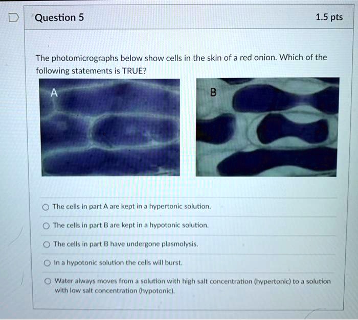 Which Of The Following Statements Is True About The Skin SOLVED: The photomicrographs below show cells in the skin of a red