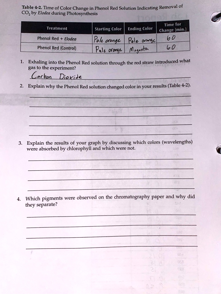 SOLVED Table 42. Time of Color Change in Phenol Red Solution