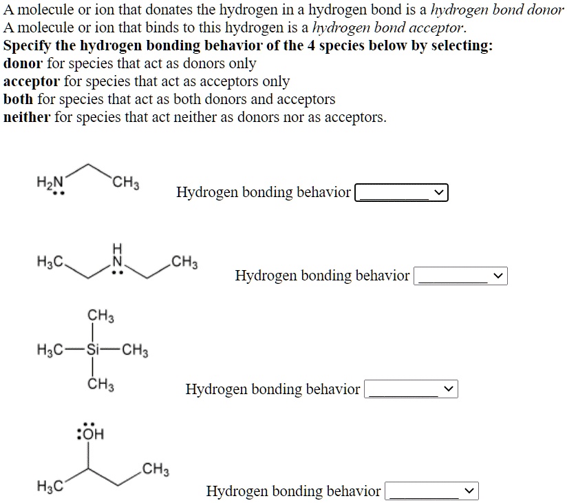 Solved A Molecule Or Ion That Donates The Hydrogen In A Hydrogen Bond