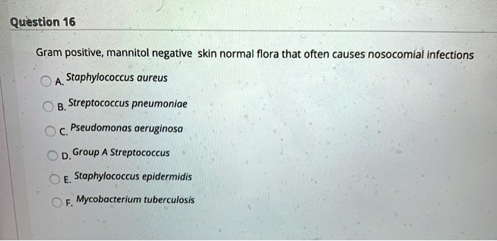 SOLVED: Question 16 Gram positive, mannitol negative skin normal flora ...