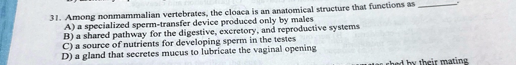 31 among nonmammalian vertebrates the cloaca is an anatomical structure that functions as a a specialized sperm transfer device produced only by males b a shared pathway for the digestive ex 81305