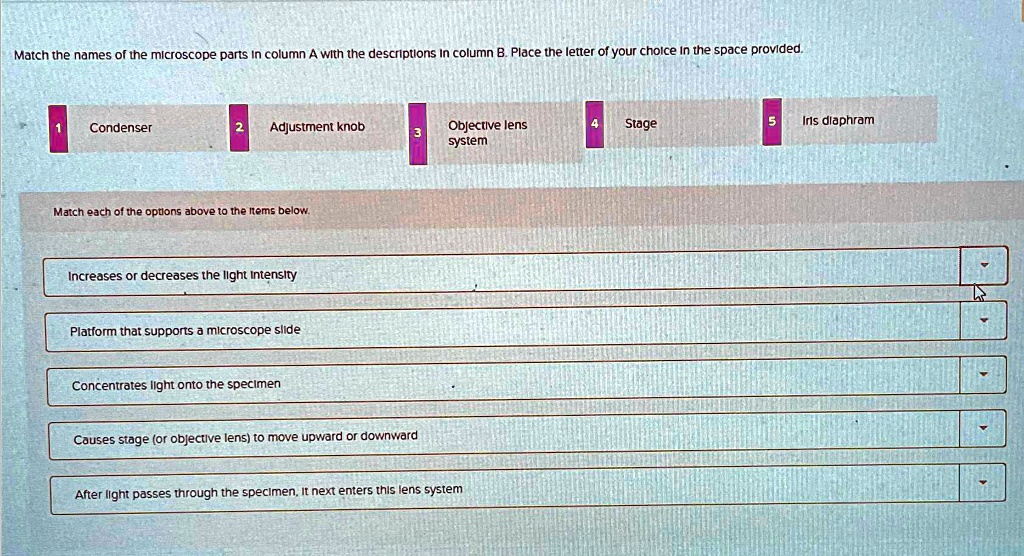Match the names of the microscope parts in column A with the