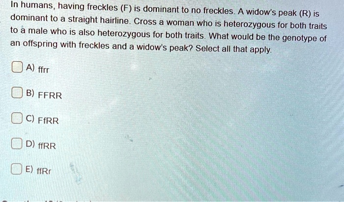 solved-in-humans-having-freckles-f-is-dominant-to-no-freckles