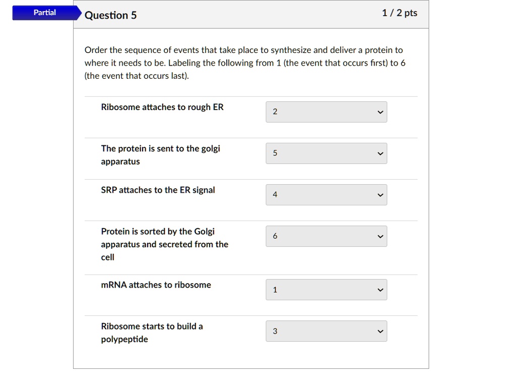 SOLVED: Partial Question 5 1/2 pts Order the sequence of events that ...