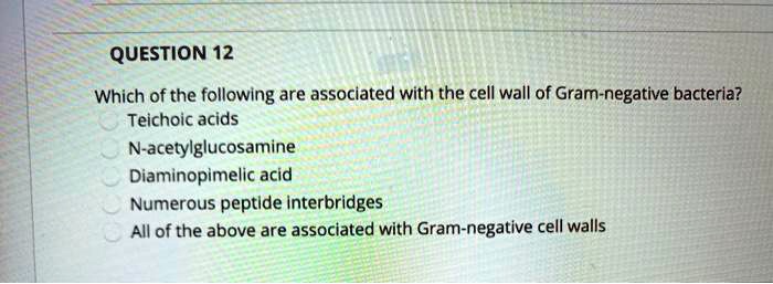 Which of the following are associated with the cell wall of Gram-negative bacteria?
Teichoic acids
N-acetylglucosamine
Diaminopimelic acid
Numerous peptide interbridges
All of the above are associated with Gram-negative cell walls
