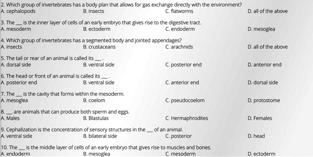 2. Which group of invertebrates has a body plan that allows for gas exchange directly with the environment?
A. cephalopods B. insects C. flatworms D. all of the above

3. The  is the inner layer of cells of an early embryo that gives rise to the digestive tract.
A. mesoderm B. ectoderm C. endoderm D. mesoglea

4. Which group of invertebrates has a segmented body and jointed appendages?
A. insects B. crustaceans C. arachnids D. all of the above

5. The tail or rear of an animal is called its  .
A. dorsal side B. ventral side C. posterior end D. anterior end

6. The head or front of an animal is called its  .
A. posterior end B. ventral side C. anterior end D. dorsal side

7. The  is the cavity that forms within the mesoderm.
A. mesoglea B. coelom C. pseudocoelom D. protostome

8.  are animals that can produce both sperm and eggs.
A. Males B. Blastulas C. Hermaphrodites D. Females

9. Cephalization is the concentration of sensory structures in the  of an animal.
A. ventral side B. bilateral side C. posterior D. head

10. The  is the middle layer of cells of an early embryo that gives rise to muscles and bones.
A. endoderm B. mesoglea C. mesoderm D. ectoderm