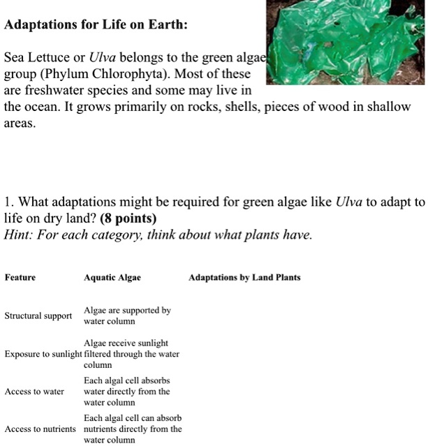 SOLVED: Adaptations for Life on Earth: Sea Lettuce or Ulva belongs to ...