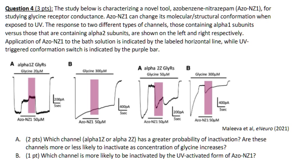 a 2 pts which channel alpha1z or alpha 2z has a greater probability of inactivation are these channels more or less likely to inactivate as the concentration of glycine increases b 1 pt whic 84467
