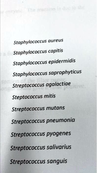 SOLVED: Flow chart separating theses Staphylococcus aureus ...