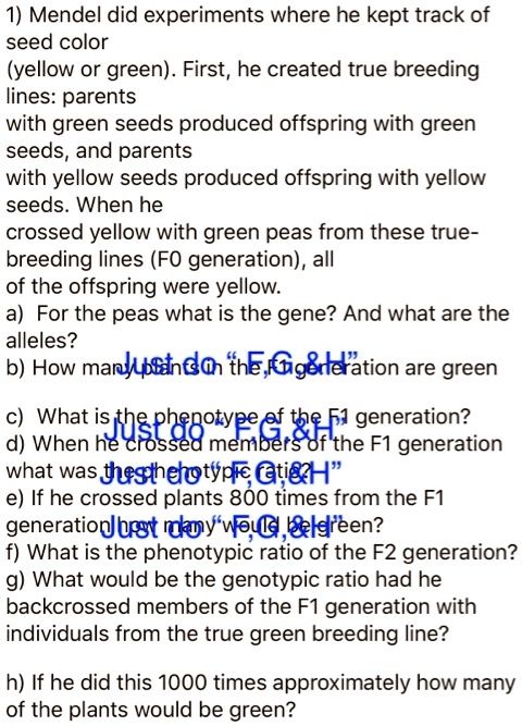 1) Mendel did experiments where he kept track of seed color
(yellow or green). First, he created true breeding
lines: parents
with green seeds produced offspring with green
seeds, and parents
with yellow seeds produced offspring with yellow
seeds. When he
crossed yellow with green peas from these true-
breeding lines (F0 generation), all
of the offspring were yellow.
a) For the peas what is the gene? And what are the
alleles?
b) How many plants in the F1 generation are green
c) What is the phenotype of the F1 generation?
d) When he crossed members of the F1 generation
what was the phenotypic ratio?
e) If he crossed plants 800 times from the F1
generation how many would be green?
f) What is the phenotypic ratio of the F2 generation?
g) What would be the genotypic ratio had he
backcrossed members of the F1 generation with
individuals from the true green breeding line?
h) If he did this 1000 times approximately how many
of the plants would be green?