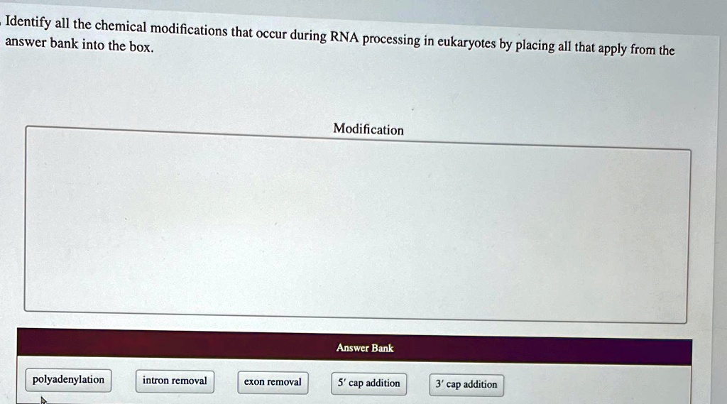 SOLVED Identify all the chemical modifications that occur during RNA