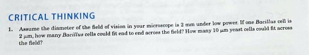 CRITICAL THINKING
1. Assume the diameter of the field of vision in your microscope is 2 mm under low power. If one Bacillus cell is 2 ?m, how many Bacillus cells could fit end to end across the field? How many 10 ?m yeast cells could fit across the field?