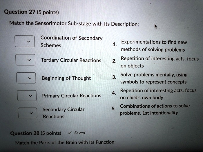 SOLVED Question 27 (5 points) Match the Sensorimotor Substage with