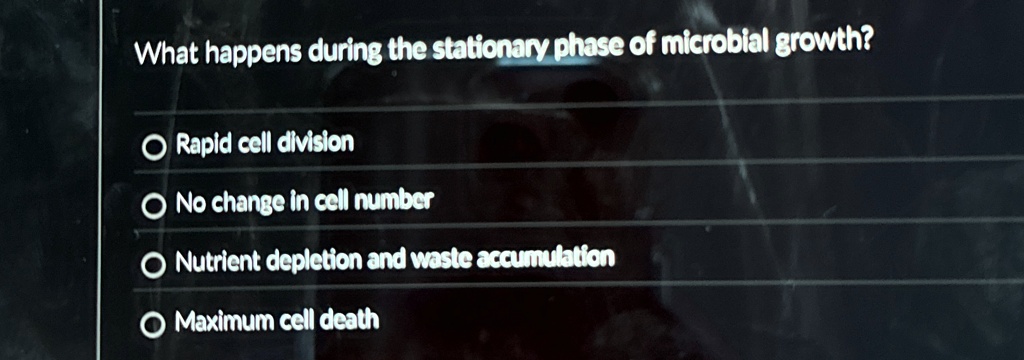 what happens during the stationary phase of microbial growth rapid cell division no change in cell number nutrient depletion and waste accumulation maximum cell death 45523