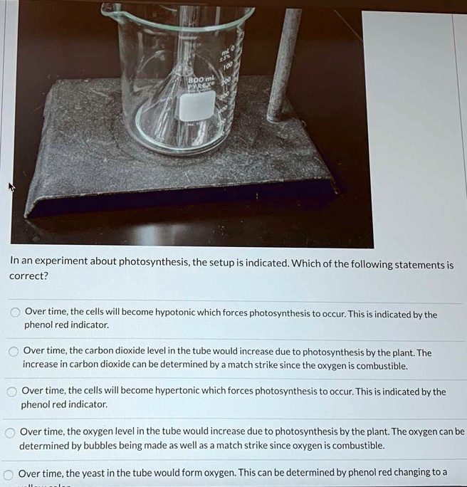 SOLVED Boo Inan experiment about photosynthesis, the setup is