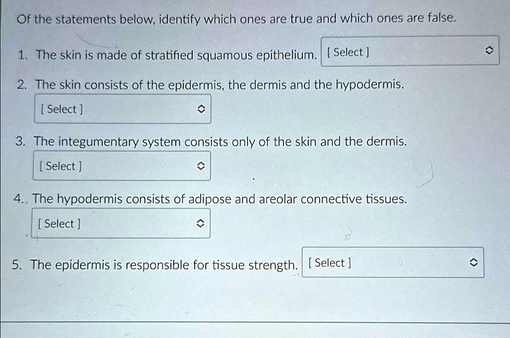 Of the statements below, identify which ones are true and which ones