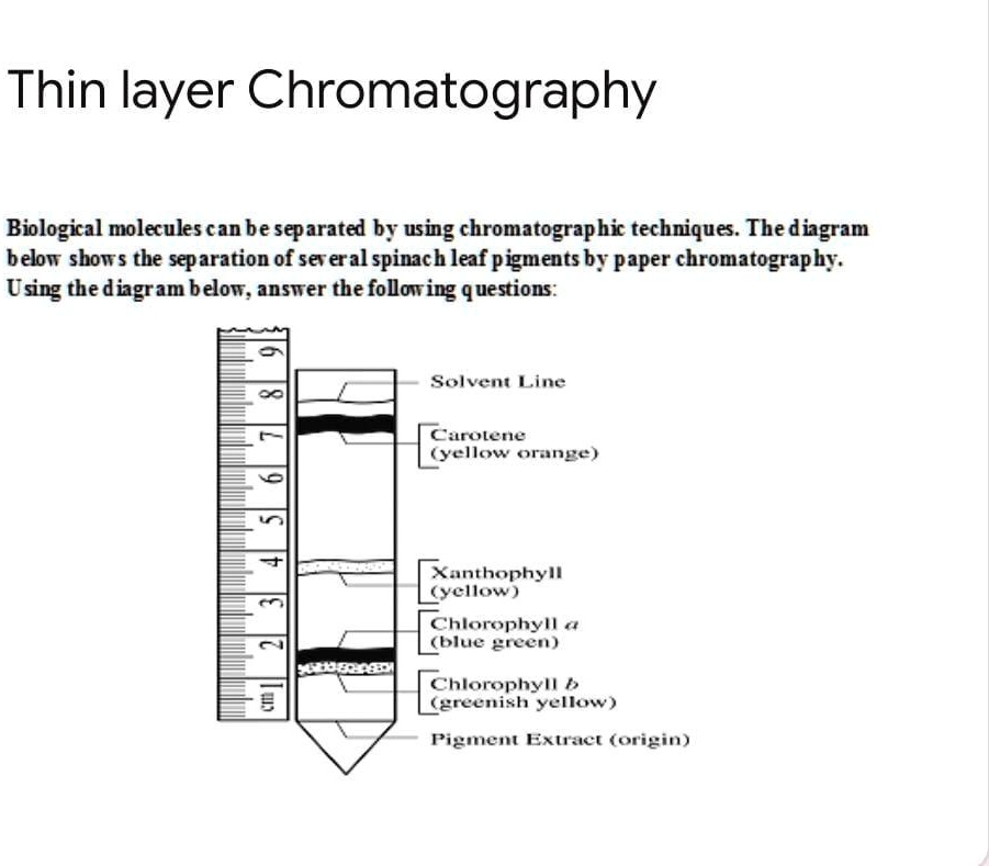 how can paper chromatography be used to separate pigments