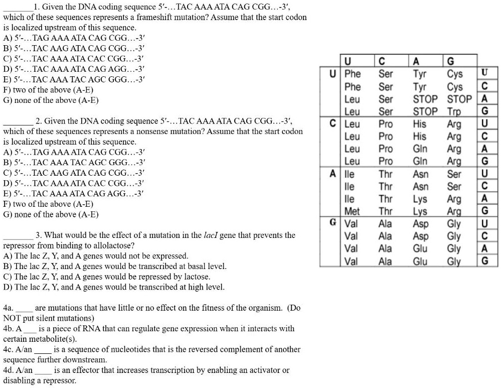 1. Given the DNA coding sequence 5'-...TAC AAA ATA CAG CGG...-3', which of these sequences represents a frameshift mutation? Assume that the start codon is localized upstream of this sequence.
A) 5'-...TAG AAA ATA CAG CGG...-3'
B) 5'-...TAC AAG ATA CAG CGG...-3'
C) 5'-...TAC AAA ATA CAC CGG...-3'
D) 5'-...TAC AAA ATA CAG AGG...-3'
E) 5'-...TAC AAA TAC AGC GGG...-3'
F) two of the above (A-E)
G) none of the above (A-E)

2. Given the DNA coding sequence 5'-...TAC AAA ATA CAG CGG...-3', which of these sequences represents a nonsense mutation? Assume that the start codon is localized upstream of this sequence.
A) 5'-...TAG AAA ATA CAG CGG...-3'
B) 5'-...TAC AAA TAC AGC GGG...-3'
C) 5'-...TAC AAG ATA CAG CGG...-3'
D) 5'-...TAC AAA ATA CAC CGG...-3'
E) 5'-...TAC AAA ATA CAG AGG...-3'
F) two of the above (A-E)
G) none of the above (A-E)

3. What would be the effect of a mutation in the lacI gene that prevents the repressor from binding to allolactose?
A) The lac Z, Y, and A genes would not be expressed.
B) The lac Z, Y, and A genes would be transcribed at basal level.
C) The lac Z, Y, and A genes would be repressed by lactose.
D) The lac Z, Y, and A genes would be transcribed at high level.

4a.  are mutations that have little or no effect on the fitness of the organism. (Do NOT put silent mutations)
4b. A  is a piece of RNA that can regulate gene expression when it interacts with certain metabolite(s).
4c. A/an  is a sequence of nucleotides that is the reversed complement of another sequence further downstream.
4d. A/an  is an effector that increases transcription by enabling an activator or disabling a repressor.