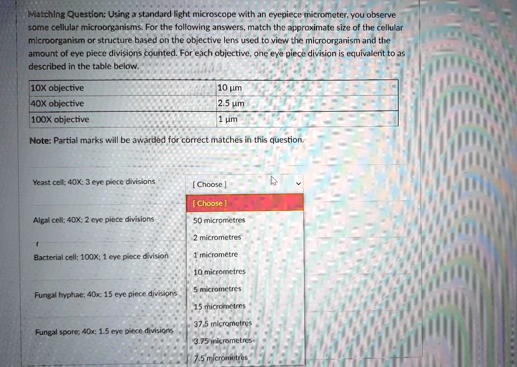 Solved Matching Question Using A Standard Light Microscope Chegg Com