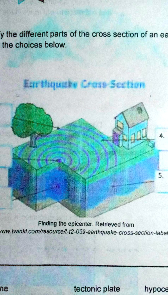 SOLVED: 'identify the different parts of the cross section of an ...