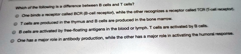 which of the following i5 a difference between b cells and t cells ...