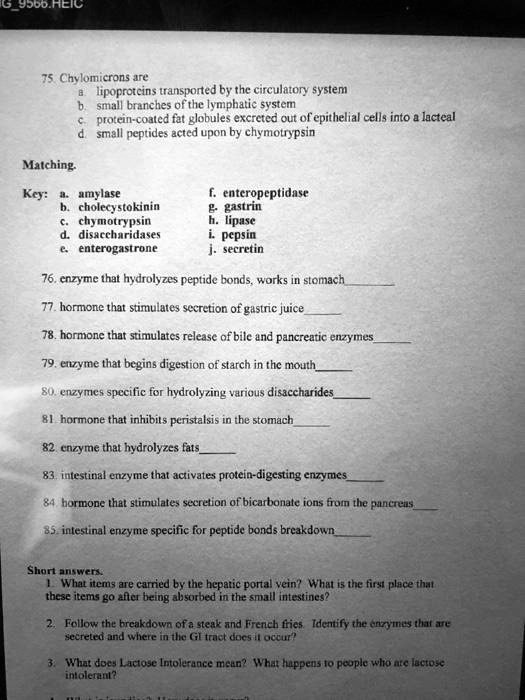 SOLVED 75. Chylomicrons are lipoproteins transported by the