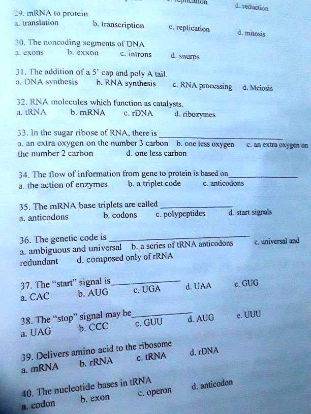 Solved: Mrna To Protein. Translation To Transcription Replication 30 