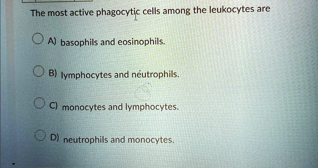 The Most Active Phagocytic Cells Among The Leukocytes Are