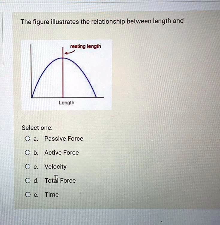 The figure illustrates the relationship between length and...
