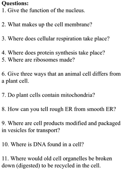 Questions:
1. Give the function of the nucleus.
2. What makes up the cell membrane?
3. Where does cellular respiration take place?
4. Where does protein synthesis take place?
5. Where are ribosomes made?
6. Give three ways that an animal cell differs from a plant cell.
7. Do plant cells contain mitochondria?
8. How can you tell rough ER from smooth ER?
9. Where are cell products modified and packaged in vesicles for transport?
10. Where is DNA found in a cell?
11. Where would old cell organelles be broken down (digested) to be recycled in the cell.