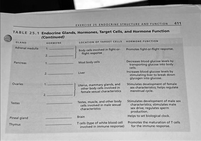 SOLVED: Texts: EXERCISE 25 ENDOCRINE STRUCTURE AND FUNCTION TABLE 25.1 ...