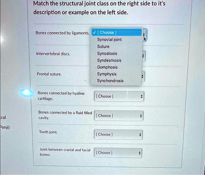 SOLVED: Match the structural joint class on the right side to its ...