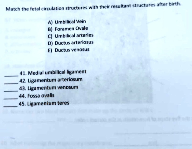 Solved: Match The Fetal Circulation Structures With Their Resultant 