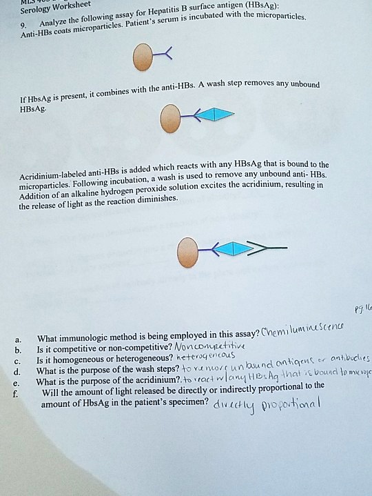 solved-serology-workshcet-hepatitis-surfuce-antigen-hbsag-following