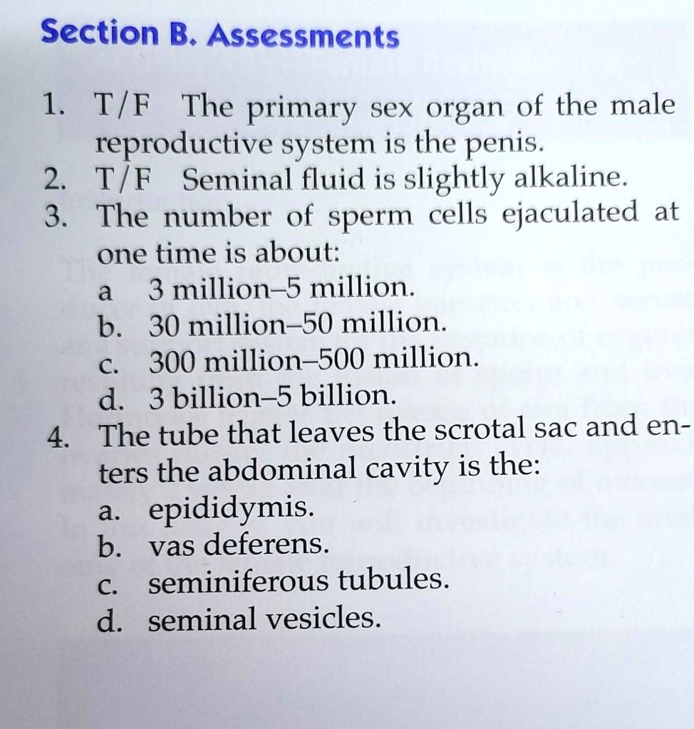 SOLVED T/F The primary sex organ of the male reproductive system is the penis picture picture