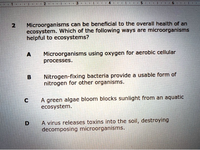 Microorganisms can be beneficial to the overall health of an ecosystem. Which of the following ways are microorganisms helpful to ecosystems?

A Microorganisms using oxygen for aerobic cellular processes.
B Nitrogen-fixing bacteria provide a usable form of nitrogen for other organisms.
C A green algae bloom blocks sunlight from an aquatic ecosystem.
D A virus releases toxins into the soil, destroying decomposing microorganisms.