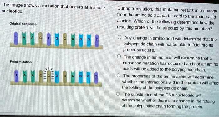 SOLVED: The image shows mutation that accurs at a single nucleotide ...