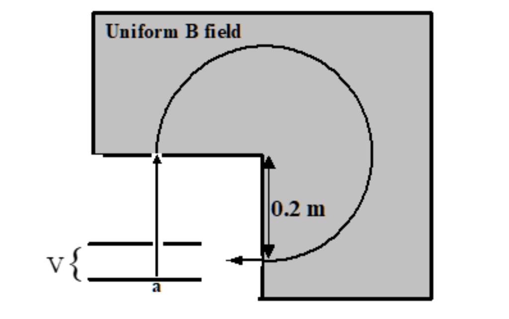 SOLVED: Uniform B field 0.2 m