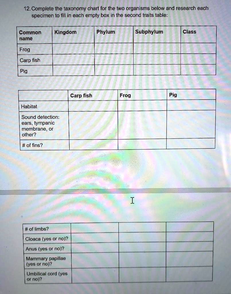 SOLVED: Complete the taxonomy chart for the two organisms below and ...