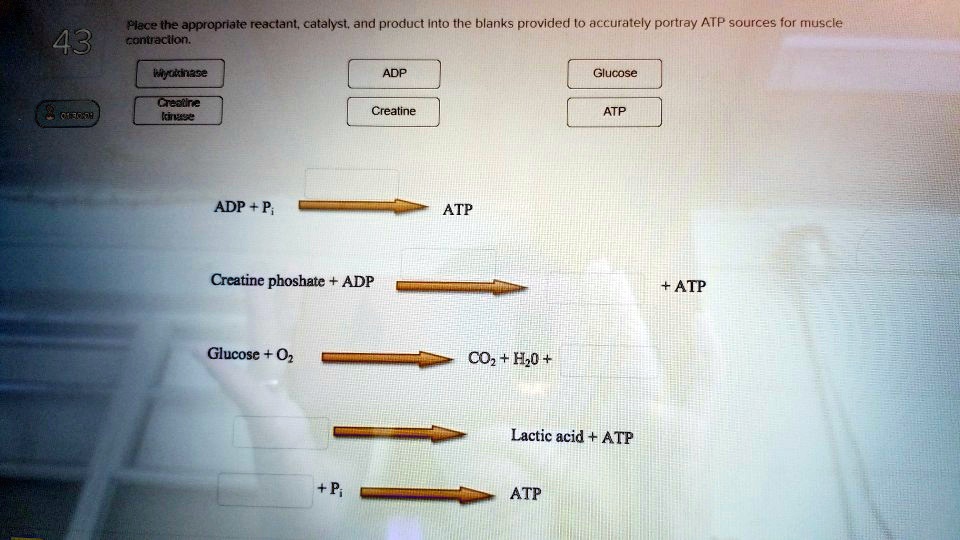 Place the appropriate reactant, catalyst, and product into the blanks