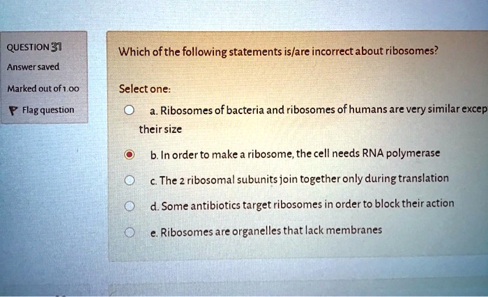 Which Of The Following Statements About Ribosomes Is False