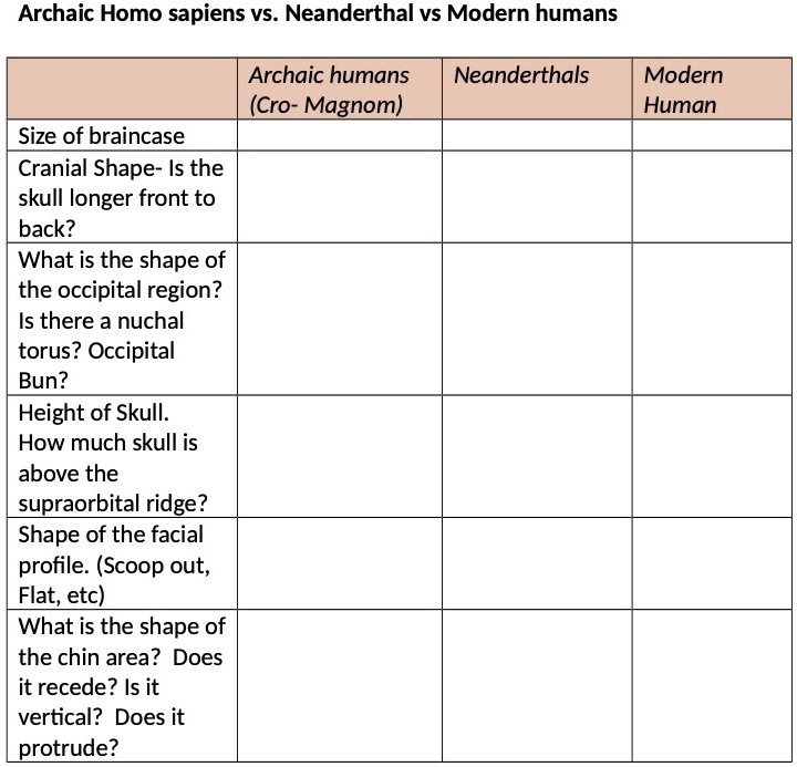 SOLVED: Archaic Homo sapiens vs Neanderthal vs Modern humans Archaic